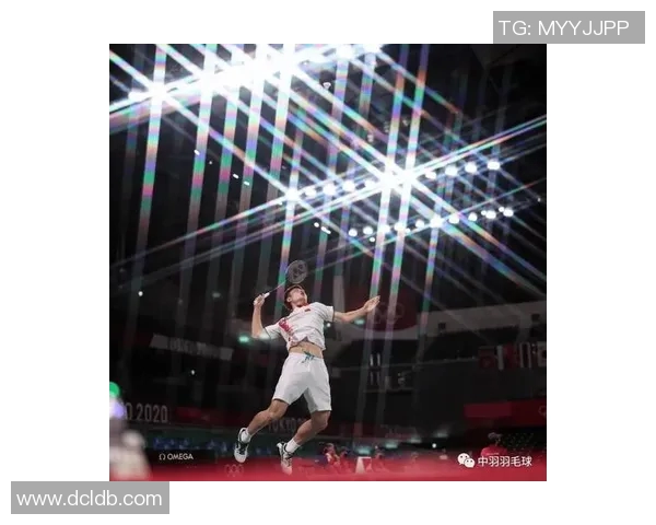 南京羽毛球队防反战术解析与深度剖析探索羽毛球竞技的奥秘与技巧