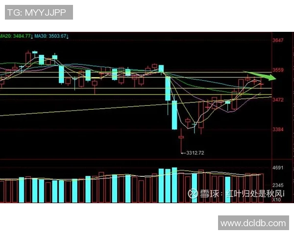 深圳乒乓球队与广州乒乓球队赛后复盘分析比赛节奏与策略对比
