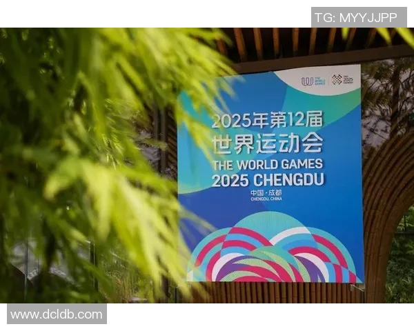 成都排球队耐力之争引发热议球迷与专家各执己见