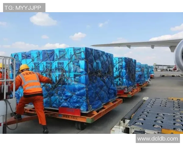 武汉排球队的蜕变之路:从传统强队到现代化竞技新标杆