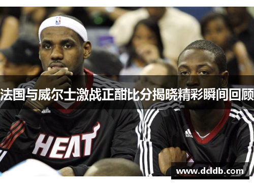 法国与威尔士激战正酣比分揭晓精彩瞬间回顾