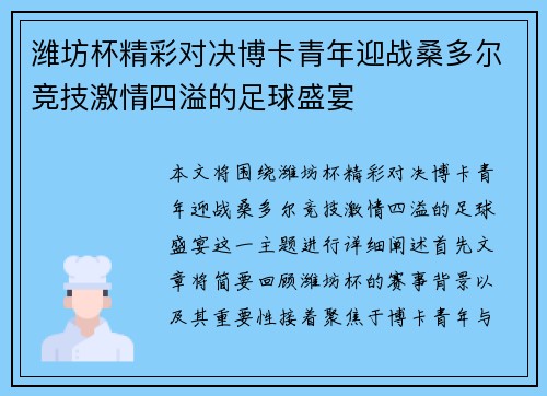 潍坊杯精彩对决博卡青年迎战桑多尔竞技激情四溢的足球盛宴